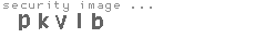 security image