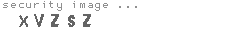 security image
