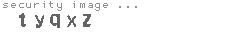 security image