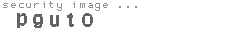 security image