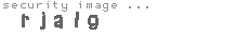 security image