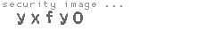 security image