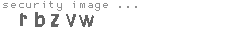 security image