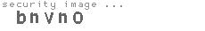 security image