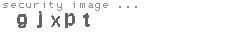 security image