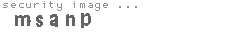 security image