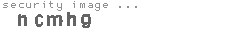 security image