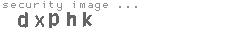 security image