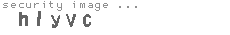 security image