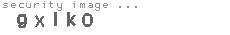 security image