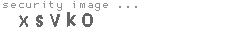 security image
