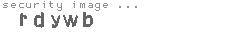security image