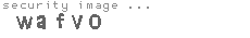 security image