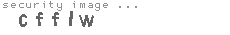 security image