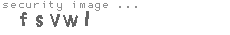 security image