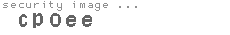 security image
