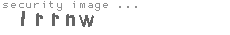 security image