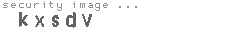 security image