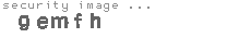 security image