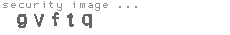 security image