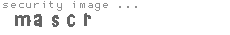 security image