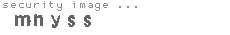security image