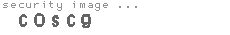 security image