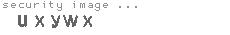 security image