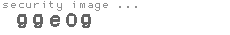security image