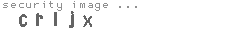 security image
