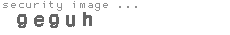security image