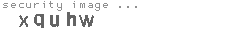 security image
