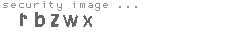 security image