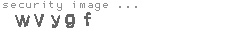 security image