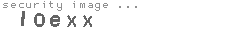 security image