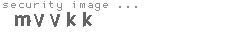 security image