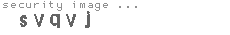 security image