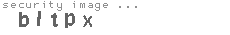security image