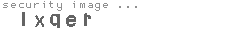 security image