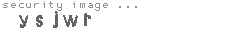 security image