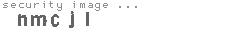 security image