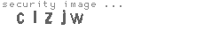 security image