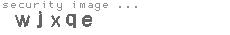 security image