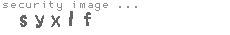 security image