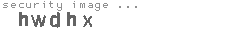security image