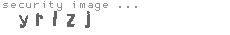 security image