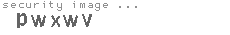 security image