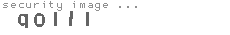 security image