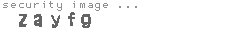 security image