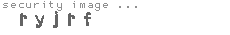 security image